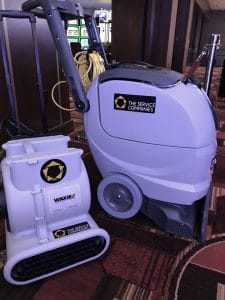 TSC Steam carpet cleaning
